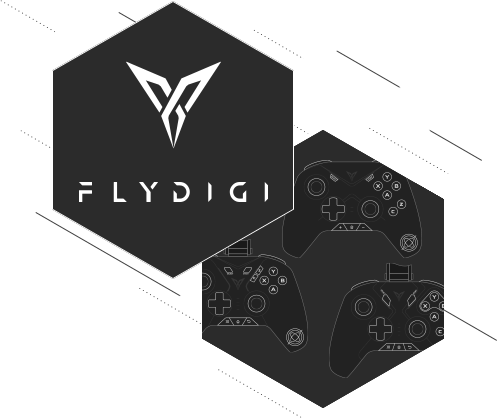 Flydigi controllers support: remap every button!